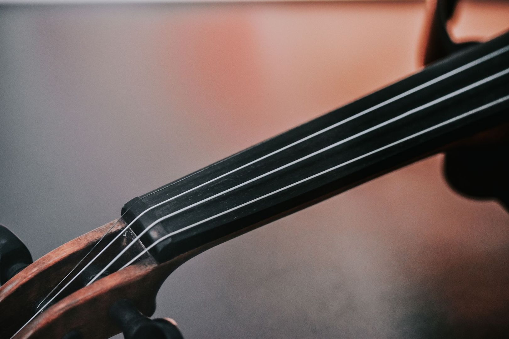 Gros plan sur les cordes et la touche noire d